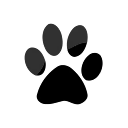 Windows 10 Login Background Changer Logo